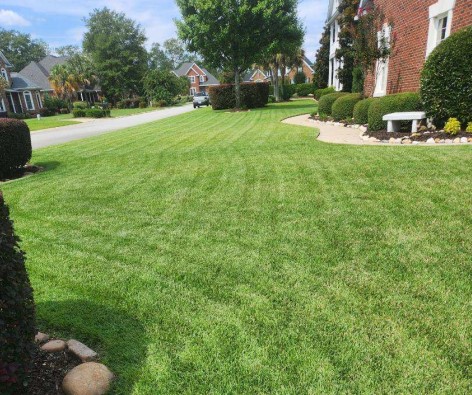 Lawn Treatment Services