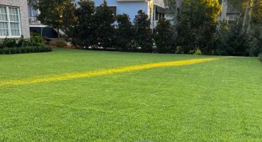 Green lawn after Core Aeration