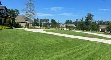 Lawn Care services